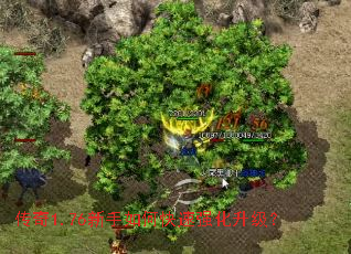 ����1.76������ο���ǿ��������