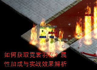 ��λ�ȡ�������£����Լӳ���ʵսЧ������