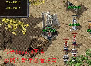 ����boss��ͼȫ���ԣ����ֱؿ�ָ��