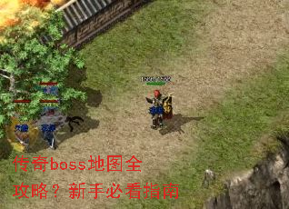 ����boss��ͼȫ���ԣ����ֱؿ�ָ��