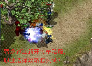 ���������¿�����˽����ְҵѡ������ô����