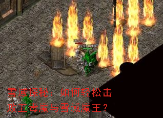 ѩ��̽�أ�������ɻ����嶾ħ��ѩ��ħ����