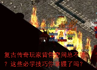 ���Ŵ�����ұ����ռ��ܲ�������Щ��ѧ��������������