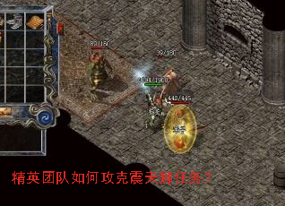 ��Ӣ�Ŷ���ι�������ʨ����