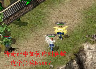 ����sf�����Ӧ�Խ��������Σ��boss��