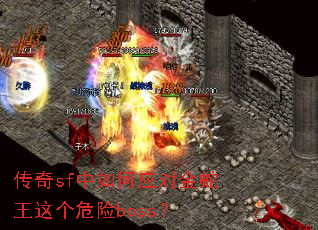 ����sf�����Ӧ�Խ��������Σ��boss��