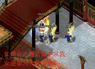 ����ڴ��ƹ�͢�дӹ�Ů��ϮΪ����ʺ�