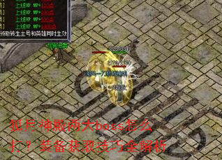 �����������boss��ô��װ����ȡ����ȫ����