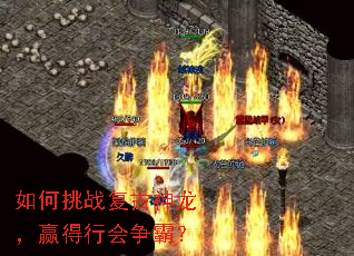 �����ս����������Ӯ���л����ԣ�