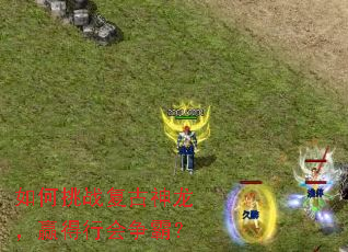 �����ս����������Ӯ���л����ԣ�