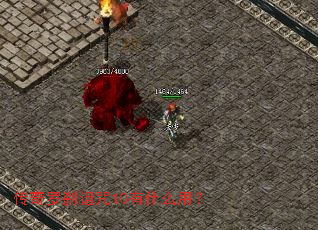 ������ɲ����10��ʲô�ã�