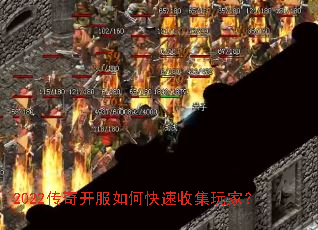 2022���濪����ο����ռ���ң�