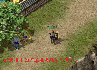 29����ʿ��ε�����Ʒ��ҹ����