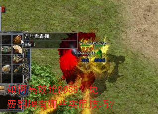 ��θ�Ч��BOSS����ѷ�������Щʵ�ü��ɣ�