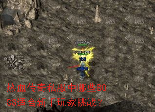 ��Ѫ����˽������ЩBOSS�ʺ����������ս��