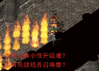 ��ʦ�ٻ�С�������ѣ���θ�Ч�����ٻ��ޣ�