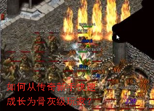 ��δӴ������ֿ��ٳɳ�Ϊ�ǻҼ���ң�