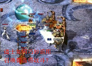 ��ʿ������������ٻ���Ӯ��ս����
