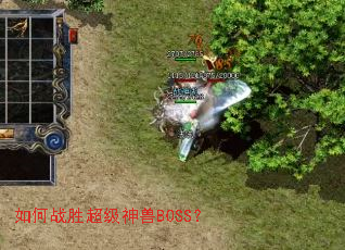 ���սʤ��������BOSS��