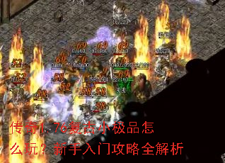 ����1.76����С��Ʒ��ô�棿�������Ź���ȫ����