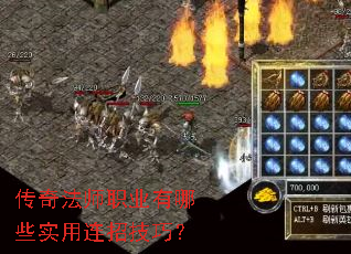 ���淨ʦְҵ����Щʵ�����м��ɣ�