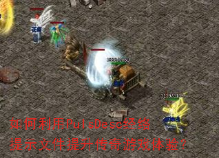 �������PulsDesc������ʾ�ļ�����������Ϸ���飿