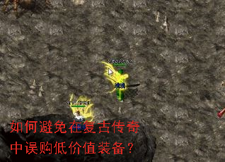 ��α����ڸ��Ŵ������󹺵ͼ�ֵװ����