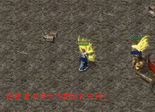 ��������ǿ��������Ӧ�ԣ�