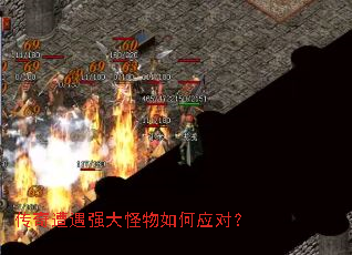 ��������ǿ��������Ӧ�ԣ�