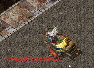 ��������ǿ��������Ӧ�ԣ�