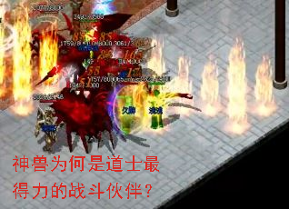 ����Ϊ���ǵ�ʿ�������ս����飿