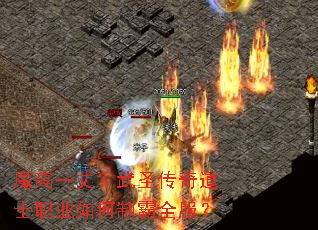 ħ��һ�ɣ���ʥ�����ʿְҵ����ư�ȫ����