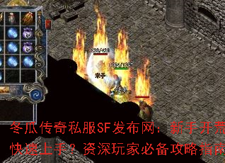 ���ϴ���˽��SF�����������ֿ�����ο������֣�������ұر�����ָ�Ͻ���