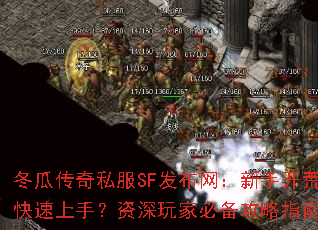 ���ϴ���˽��SF�����������ֿ�����ο������֣�������ұر�����ָ�Ͻ���