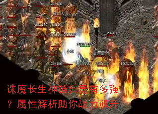 ��ħ�������������ж�ǿ�����Խ�������ս�����