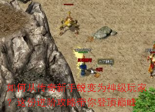 ��δӴ��������ɱ�Ϊ����ң���ݽ��׹��Դ���Ƕ��۷�