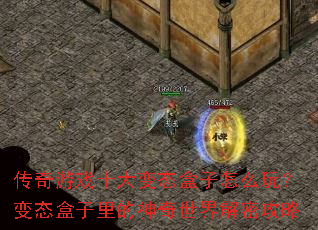 ������Ϸʮ���̬������ô�棿��̬�����������������ܹ���