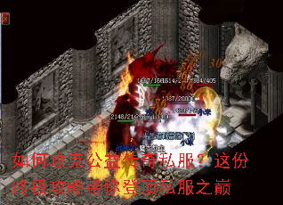 ��ι��˹��洫��˽��������ռ����Դ���Ƕ�˽��֮��