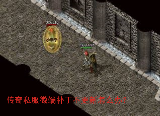 ����˽��΢�˲�����������ô�죿