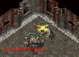 ��ο��ٻ������������