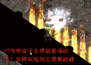 37������Ӱ�׿����ǿս�������߳����������۷�