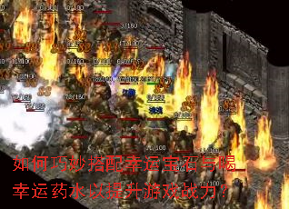 �������������˱�ʯ�������ҩˮ��������Ϸս����