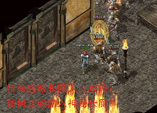 传奇宫殿长廊入口攻略:如何正确踏入神秘长廊? 传奇宫殿长廊入口攻略:如何正确踏入神秘长廊?