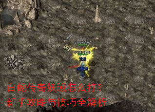 ���ߴ���������ô�����ֹ����뼼��ȫ����