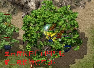 复古传奇白日门刷钉耙猫王最快地点在哪? 复古传奇白日门刷钉耙猫王最快地点在哪?