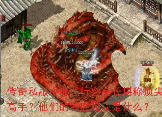 传奇私服中哪些行会会长堪称顶尖高手?他们的制胜秘诀是什么? 传奇私服中哪些行会会长堪称顶尖高手?他们的制胜秘诀是什么?