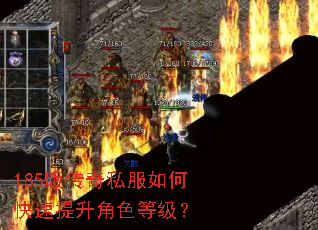 185版传奇私服如何快速提升角色等级? 185版传奇私服如何快速提升角色等级?