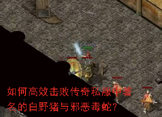 如何高效击败传奇私服中著名的白野猪与邪恶毒蛇? 如何高效击败传奇私服中著名的白野猪与邪恶毒蛇?
