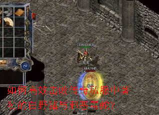 如何高效击败传奇私服中著名的白野猪与邪恶毒蛇? 如何高效击败传奇私服中著名的白野猪与邪恶毒蛇?