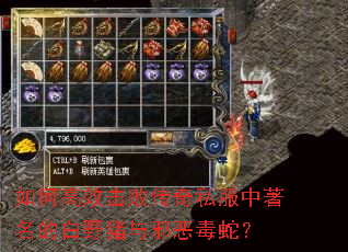 如何高效击败传奇私服中著名的白野猪与邪恶毒蛇? 如何高效击败传奇私服中著名的白野猪与邪恶毒蛇?